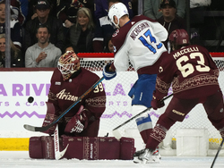 Avalanche Coyotes Hockey