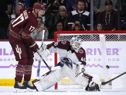 Avalanche Coyotes Hockey