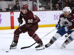 Avalanche Coyotes Hockey