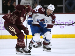 Avalanche Coyotes Hockey