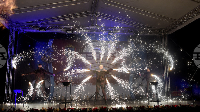 Светлините на коледната елха в Монтана ще бъдат запалени на 27 ноември, ще има концерт и 3D мапинг