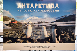 Бургас - изложба - Международен ден на Антарктида