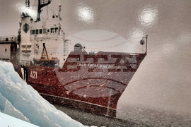 Бургас - изложба - Международен ден на Антарктида