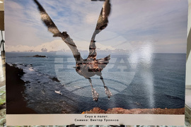 Бургас - изложба - Международен ден на Антарктида