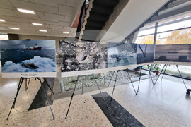 Бургас - изложба - Международен ден на Антарктида