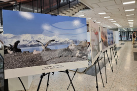 Бургас - изложба - Международен ден на Антарктида
