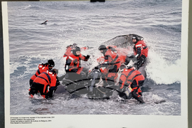 Бургас - изложба - Международен ден на Антарктида