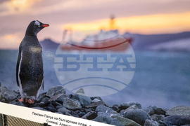 Бургас - изложба - Международен ден на Антарктида