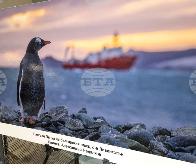  Бургас - изложба - Международен ден на Антарктида
