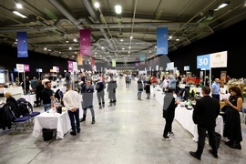 Форум на българското вино DiVino.Taste