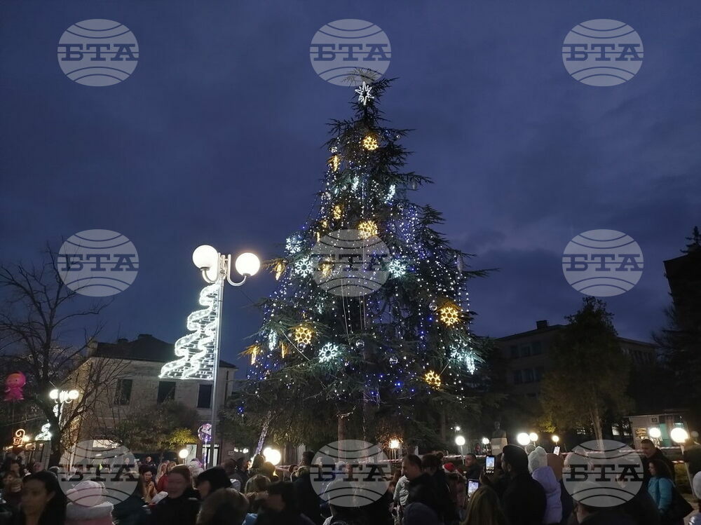 Коледната елха в Елхово грейва на Никулден