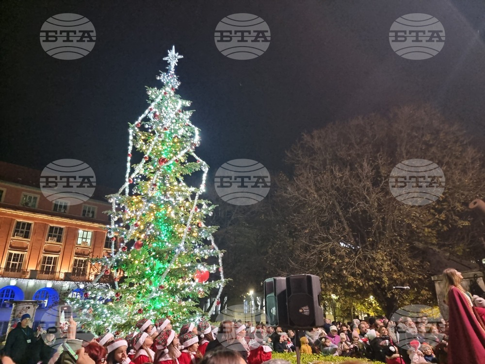 Ледено шоу, изложби, концерти и творчески работилници са част от празничната програма в Плевен през декември