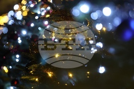 Празнични светлини - коледното дърво - запалване