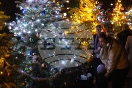 Празнични светлини - коледното дърво - запалване