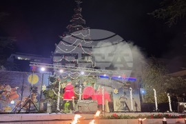 Стара Загора - коледна елха - светлини