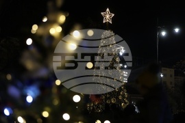 Празнични светлини - коледното дърво - запалване