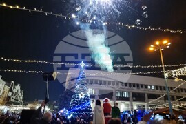 Видин - елха - коледни светлини