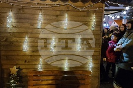 Видин - елха - коледни светлини