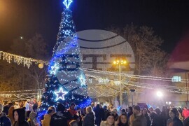 Видин - елха - коледни светлини