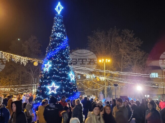 Видин - елха - коледни светлини