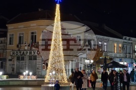 Видин - елха - коледни светлини