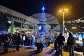 Видин - елха - коледни светлини