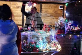 Видин - елха - коледни светлини