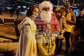 Видин - елха - коледни светлини