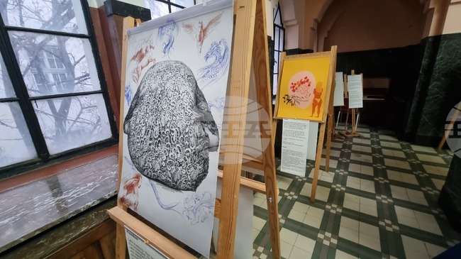 Перник - "Пробуждане между редовете" - изложба