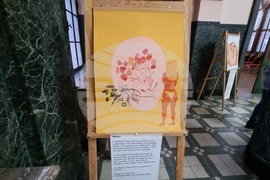 Перник - "Пробуждане между редовете" - изложба