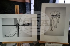 Перник - "Пробуждане между редовете" - изложба