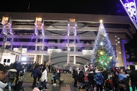 Русе - коледна елха - светлини