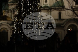 Празнични светлини - коледното дърво - запалване