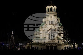 Празнични светлини - коледното дърво - запалване