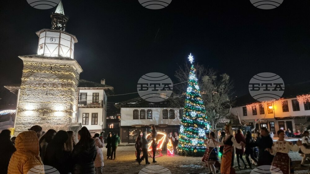 Грейна коледната елха в Трявна