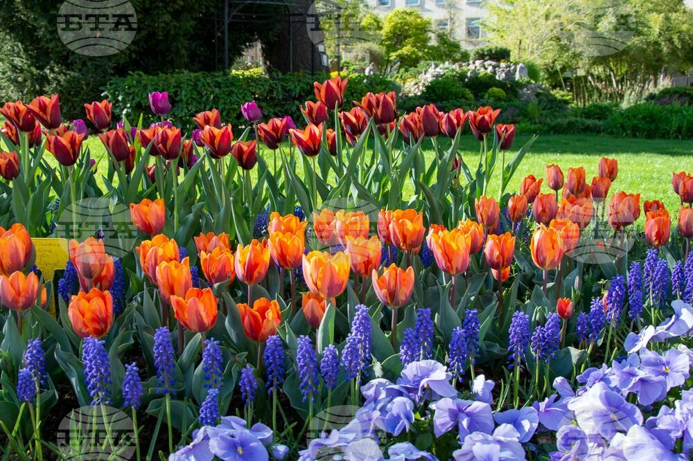 The Weather on March 8