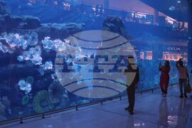 Обединените арабски емирства - ежедневие