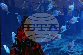 Обединените арабски емирства - ежедневие