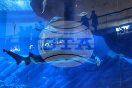 Обединените арабски емирства - ежедневие