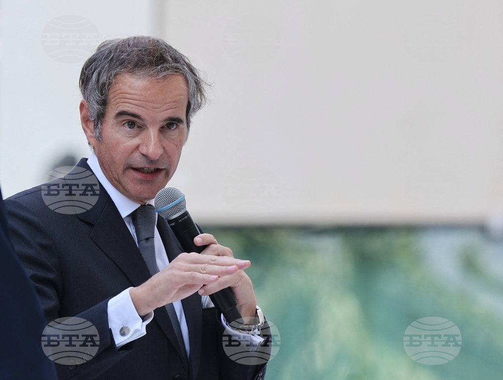 IAEA Director General Says Small Modular Reactors Could Cost around USD 1 Bln