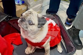 Черна гора - Коледен благотворителен базар