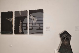 Варна - Изложба под наслов „Ахимса: ненасилието“