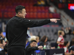Sweden Women's Handball Worlds