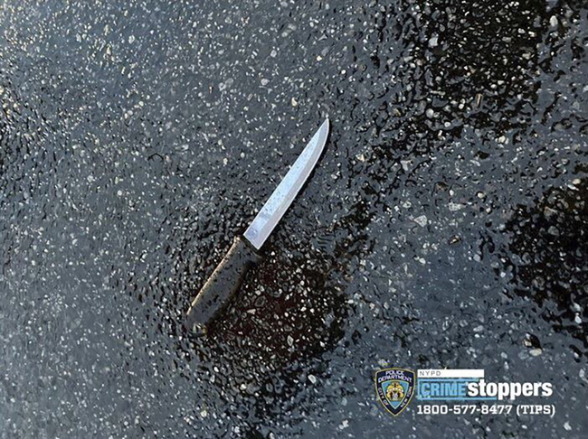 Мъж уби с нож четирима членове на своето семейство и рани двама полицаи в Ню Йорк, преди да бъде застрелян от полицията