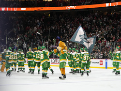 Blackhawks Wild Hockey