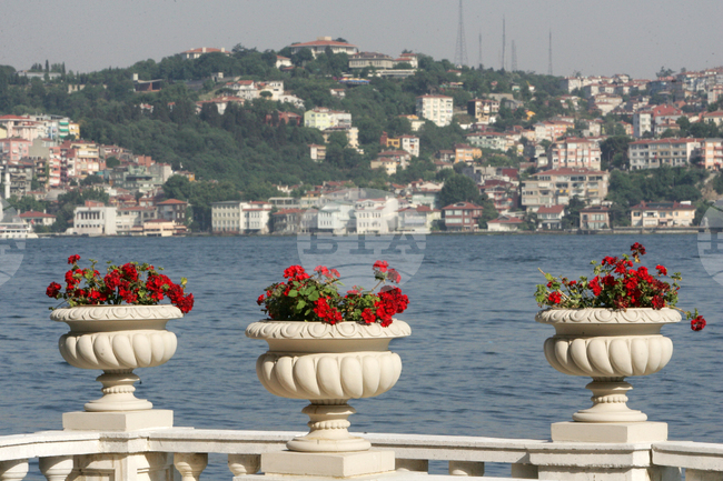 Nearly 1.5 Mln Foreigners Register for Residence in Turkiye in 2024