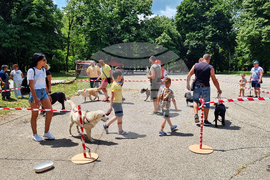 Разград - киноложка изложба