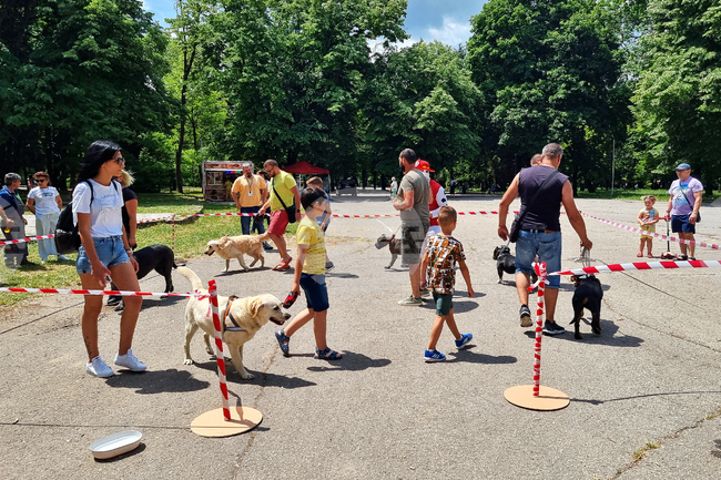 Разград - киноложка изложба