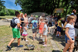 Разград - киноложка изложба