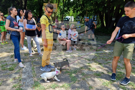 Разград - киноложка изложба